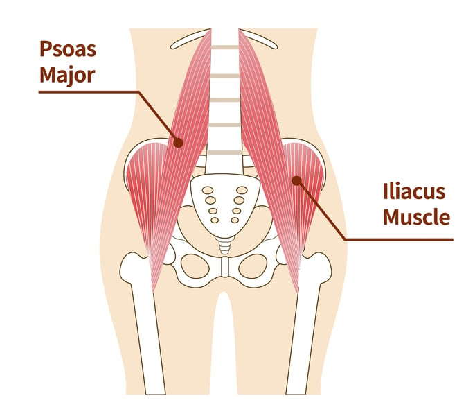 Hip Flexor Diagram